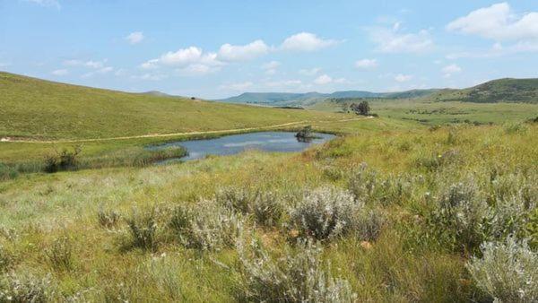 Wetlands Game Lodge Wakkerstroom