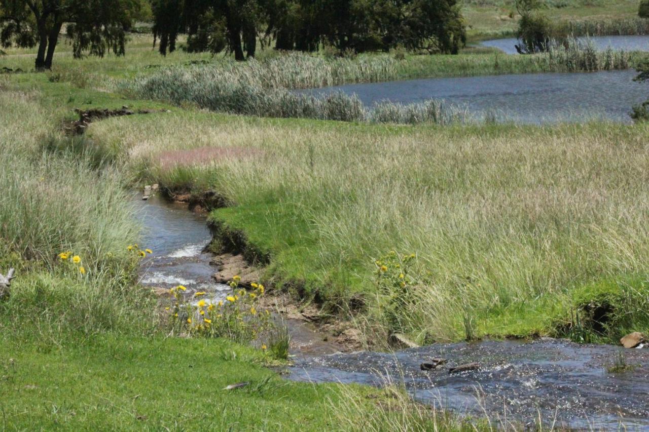 Lodge Wetlands Game *