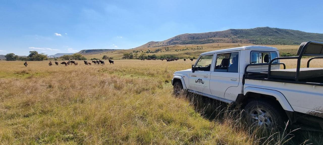 Wetlands Game Lodge
